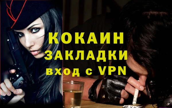 спайс Снежногорск